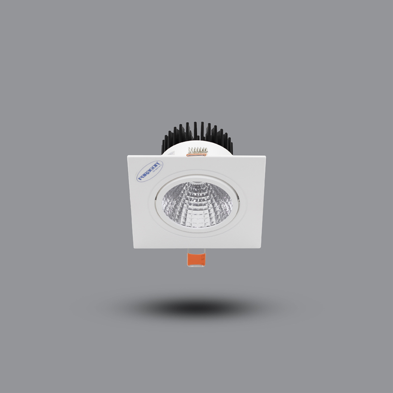 Downlight âm trần OLS110L10 - 10W - Đèn LED Paragon