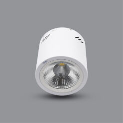Downlight gắn nổi trụ tròn PSDOO132L10 - 10W - Paragon