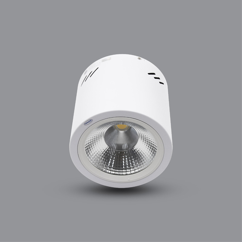 Downlight gắn nổi trụ tròn PSDOO132L10 - 10W - Paragon