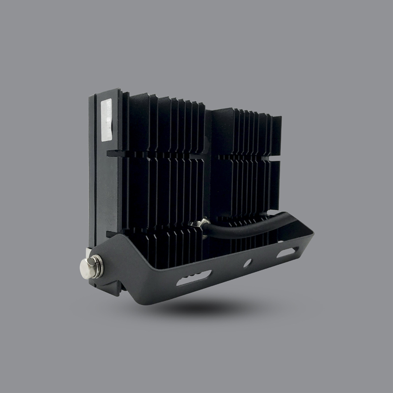 Den-LED-pha-COFB50L-3